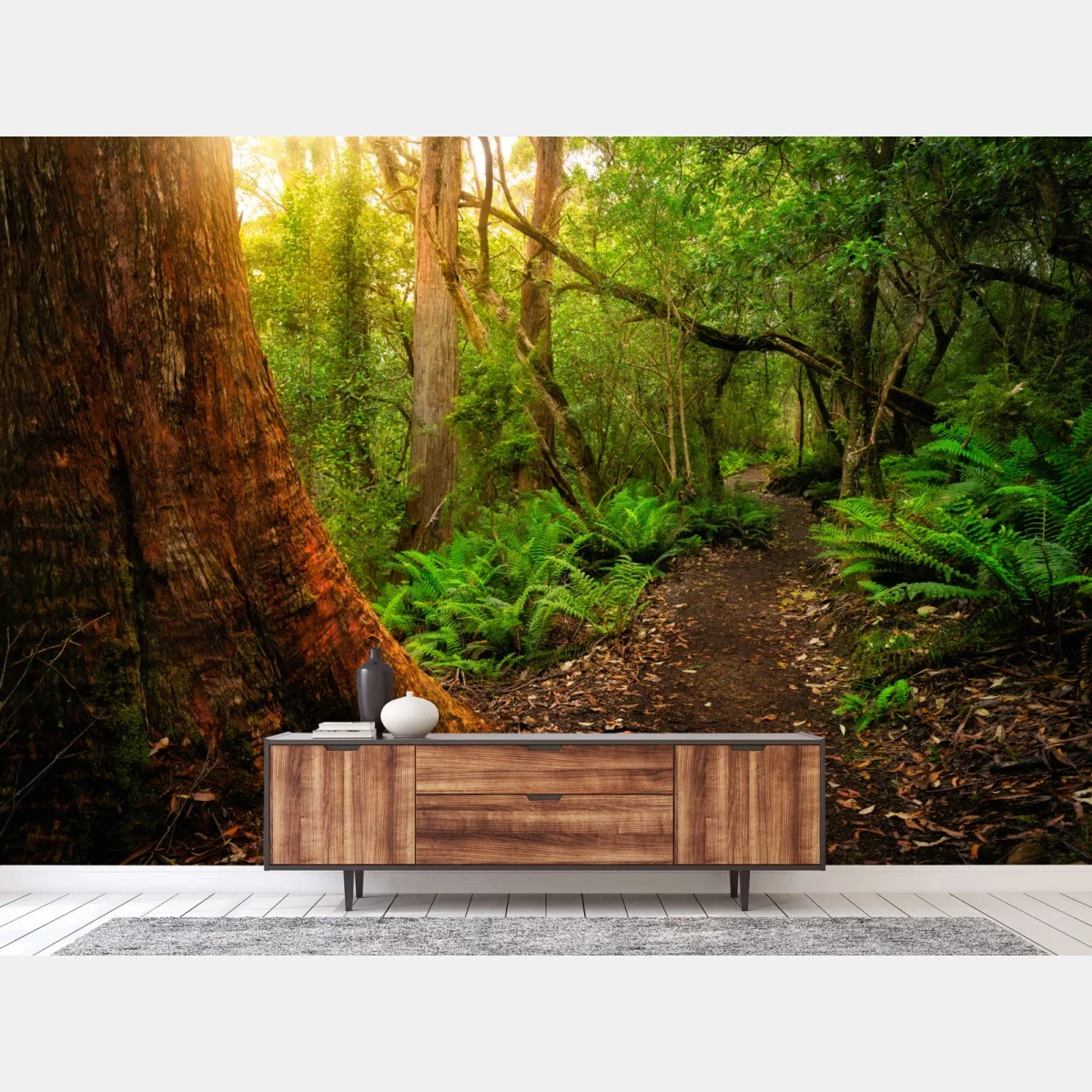 Carta da parati sentiero giurassico nella foresta pluviale della Tasmania • Wallissimo® Carta da parati sentiero giurassico nella foresta pluviale della Tasmania • Wallissimo®