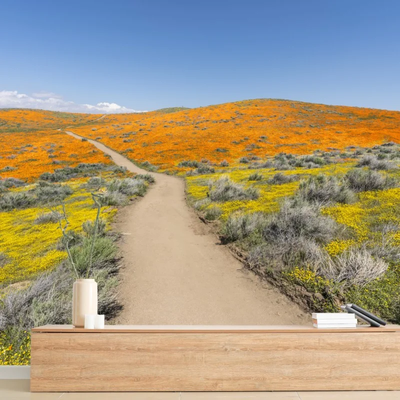 Carta da parati sentiero tra papaveri in fiore, California meridionale