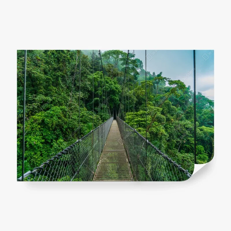 Carta da parati passerella sospesa nella foresta pluviale
