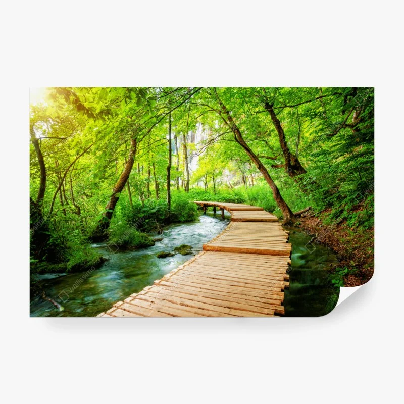 Carta da parati sentiero di legno nel Parco Nazionale dei Laghi di Plitvice