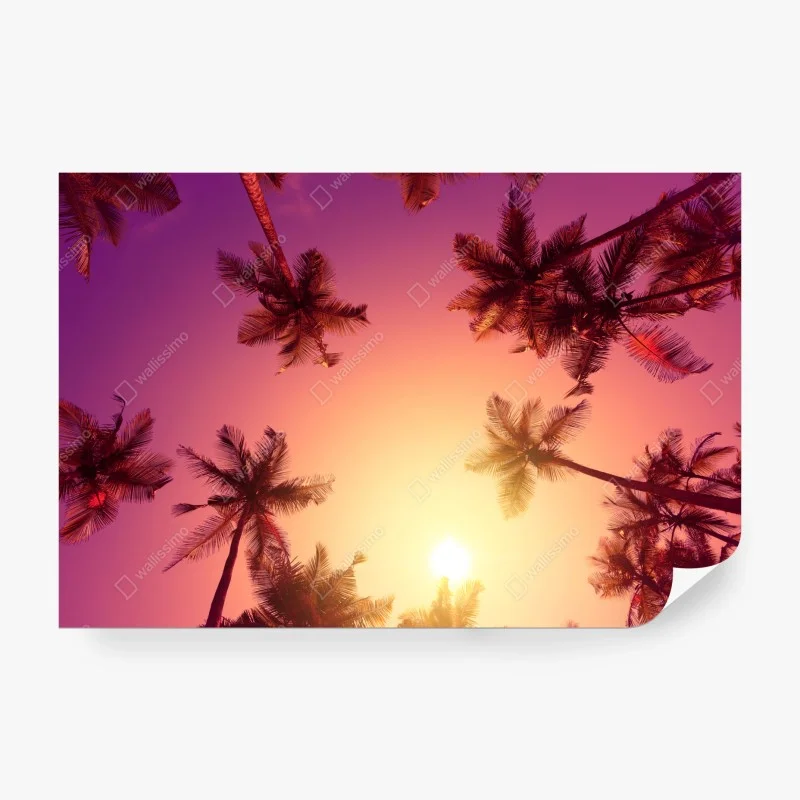Carta da parati paesaggio tropicale al tramonto con palme