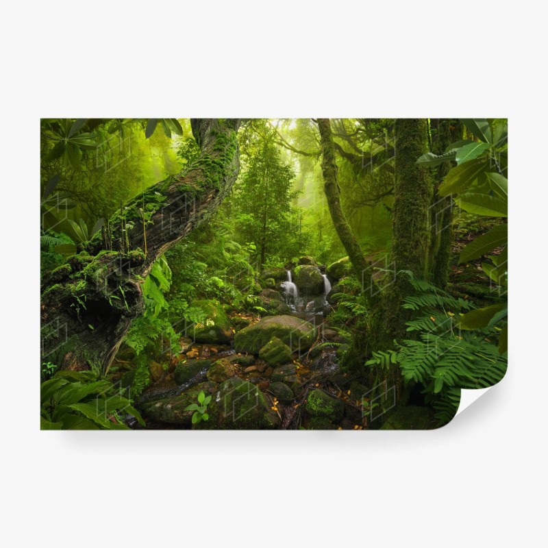 Carta da parati oasi verde nella foresta incantata