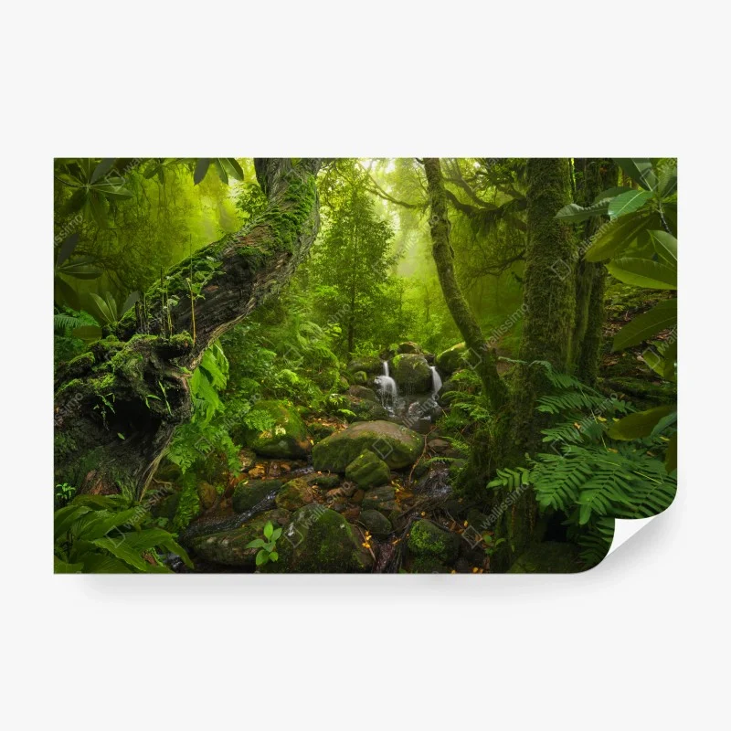 Carta da parati oasi verde nella foresta incantata