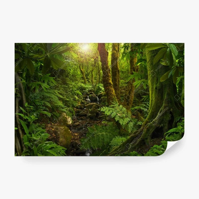 Carta da parati bosco muschioso con ruscello e luce