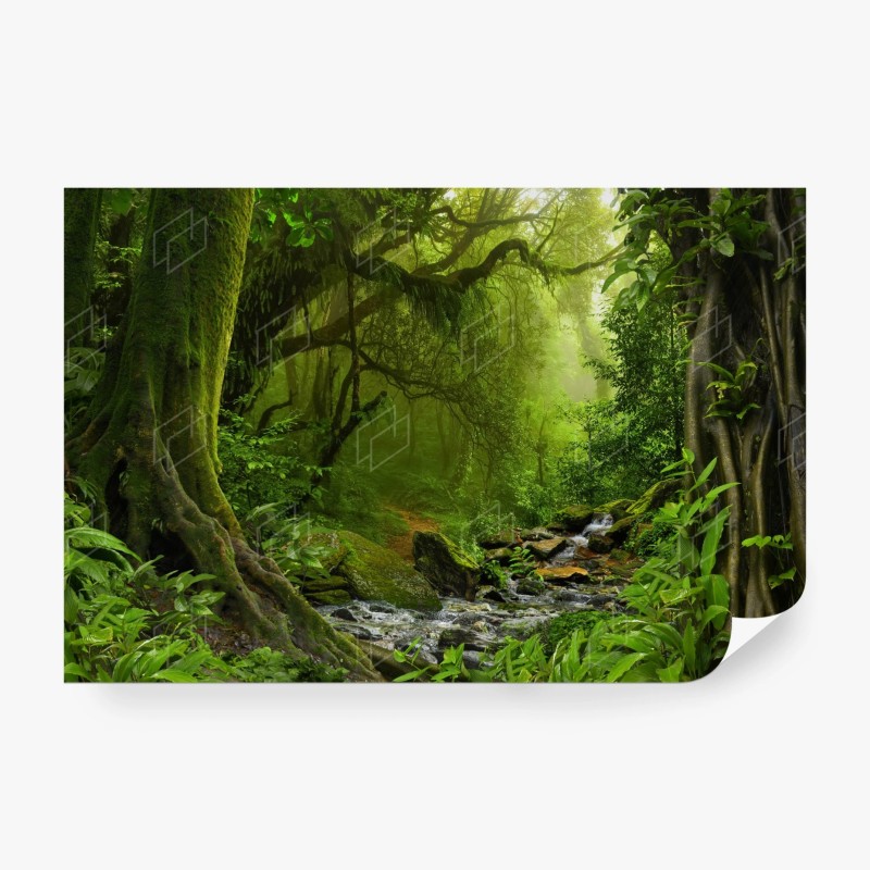 Carta da parati sentiero segreto nella foresta verde