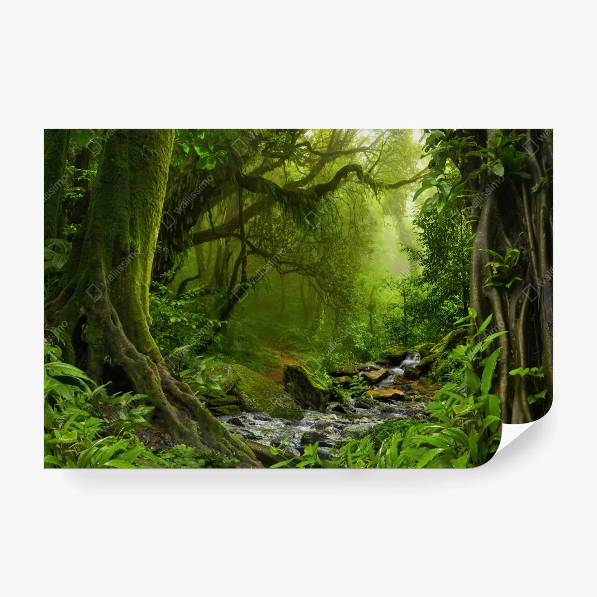 Carta da parati sentiero segreto nella foresta verde • Wallissimo®