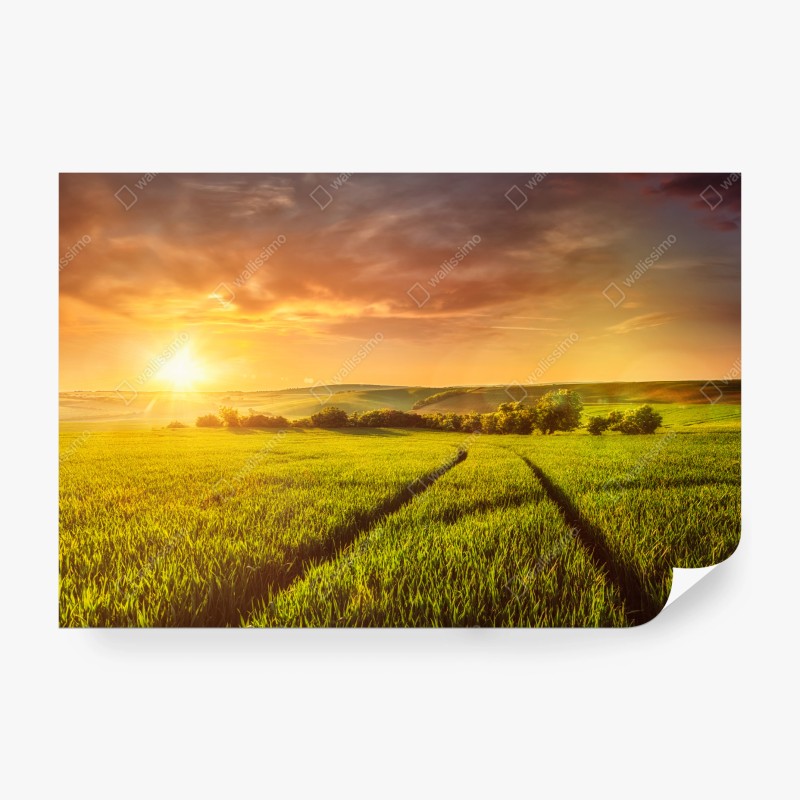 Carta da parati tramonto dorato sulle colline verdi