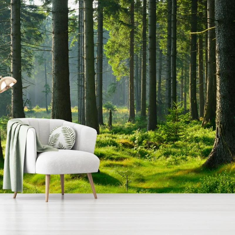 Carta da parati mattino nel bosco verde