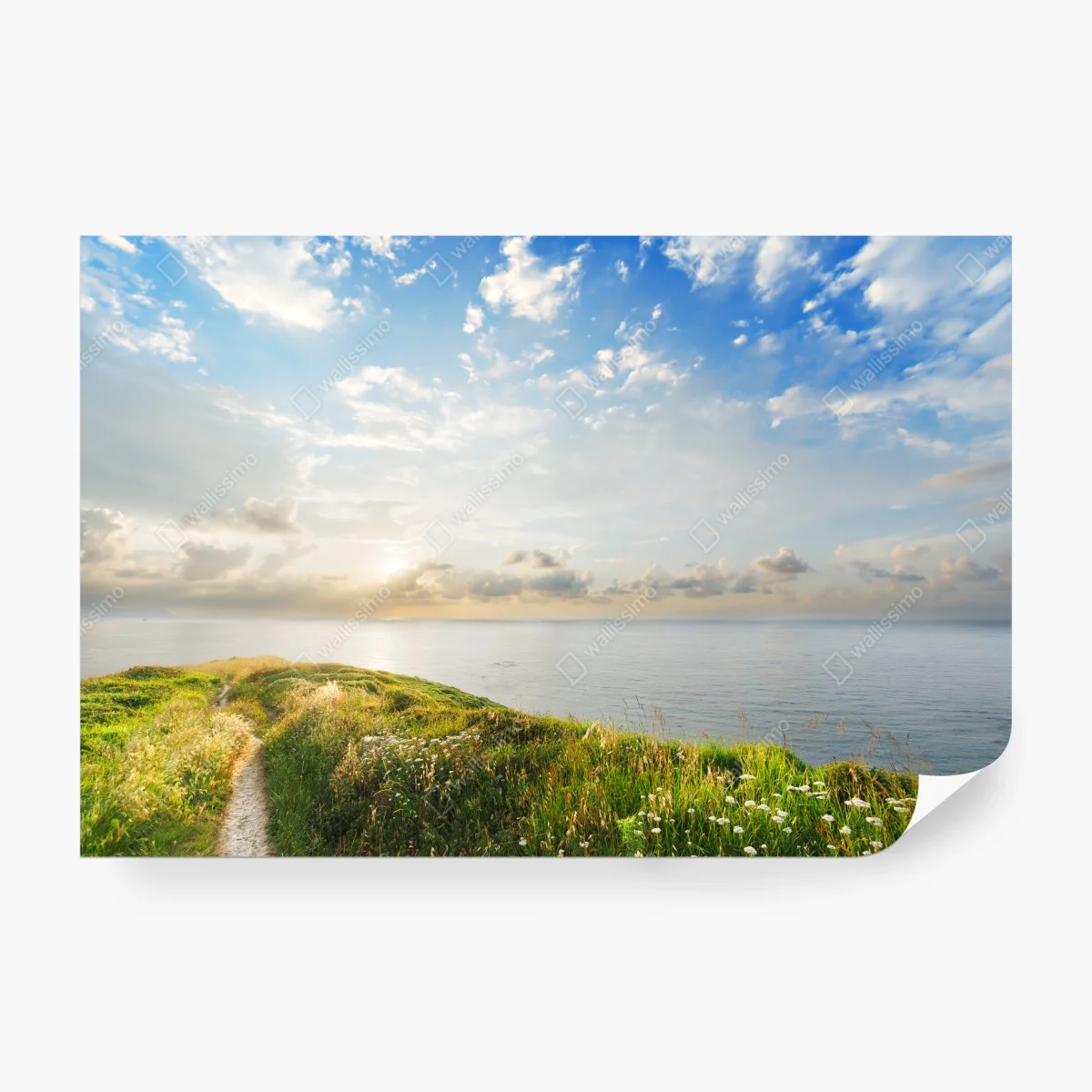 Carta da parati sentiero verso il mare al tramonto • Wallissimo®