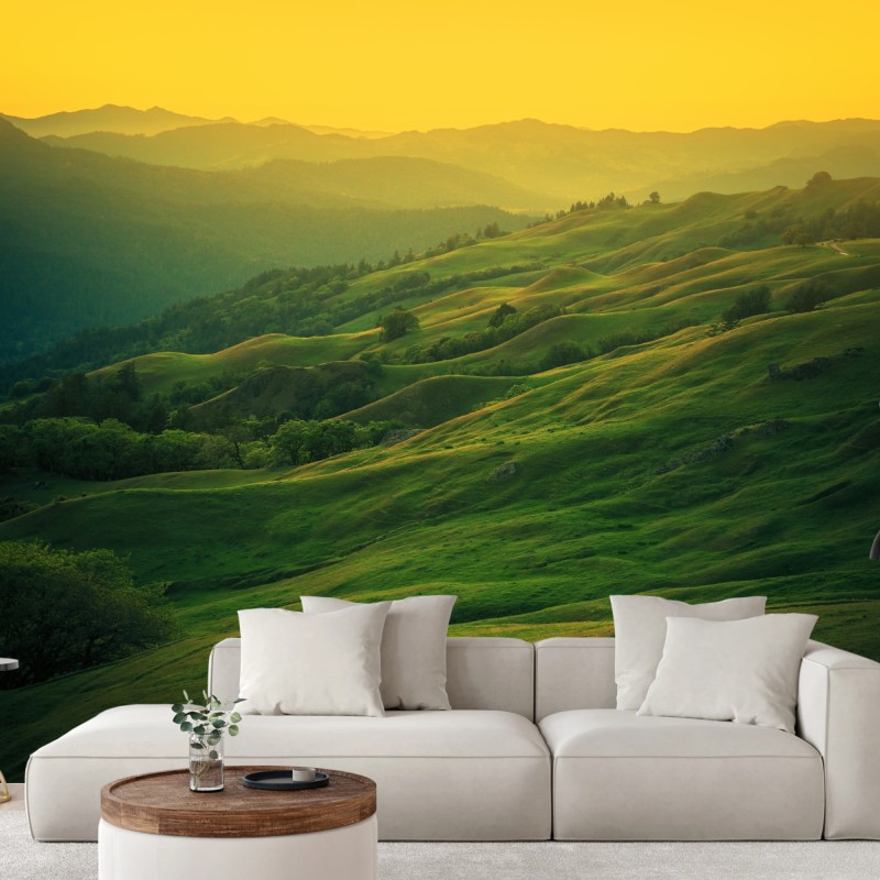 Carta da parati colline dorate della California