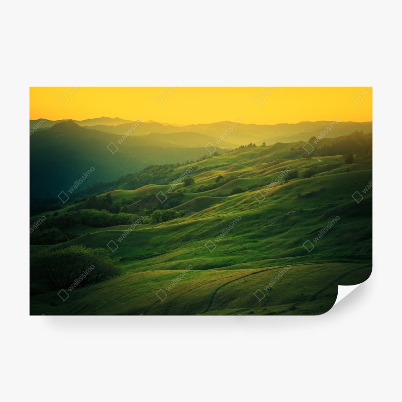 Carta da parati colline dorate della California