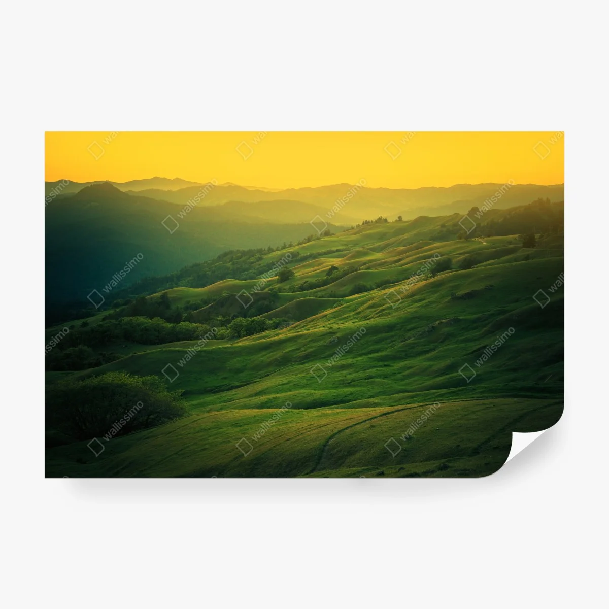 Carta da parati colline dorate della California • Wallissimo®