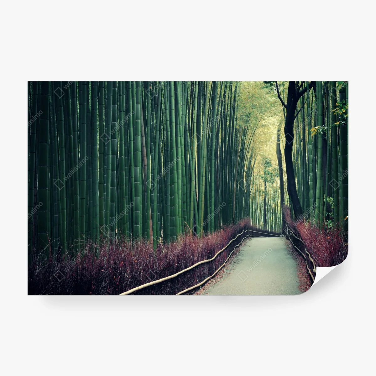 Carta da parati sentiero sereno nel bosco di bambù di Arashiyama • Wallissimo® Carta da parati sentiero sereno nel bosco di bambù di Arashiyama • Wallissimo®
