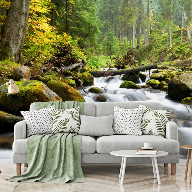Carta da parati torrente tra le rocce e il muschio nella foresta