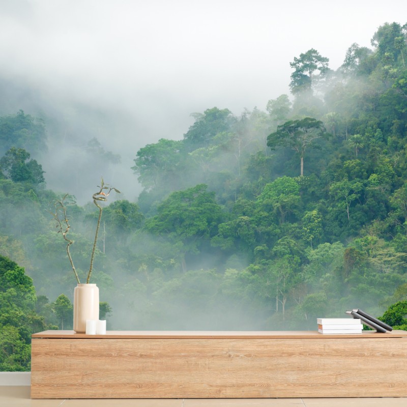 Carta da parati nebbia mattutina nella foresta pluviale di Kaeng Krachan, Thailandia