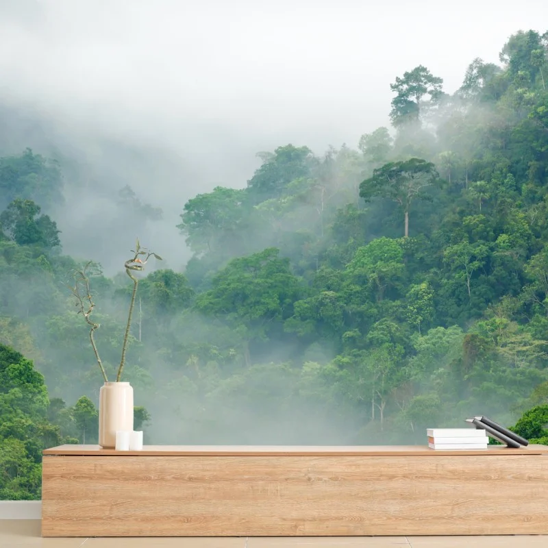 Carta da parati nebbia mattutina nella foresta pluviale di Kaeng Krachan, Thailandia