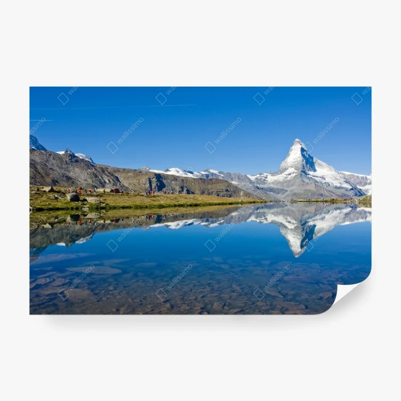 Carta da parati • Wallissimo®