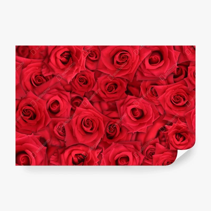 Carta da parati mosaico di rose rosse