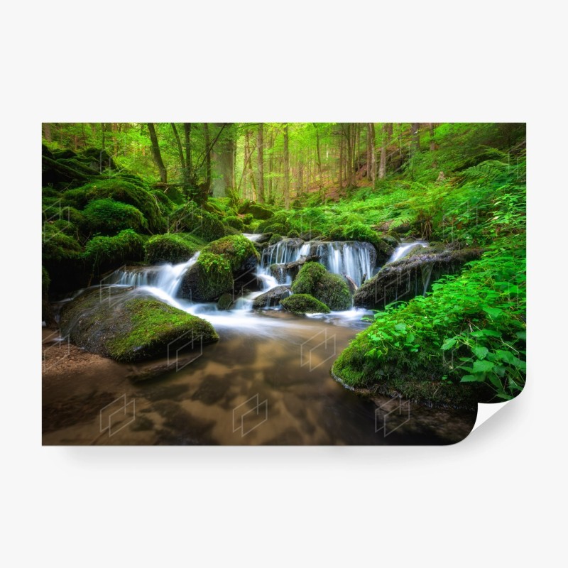 Carta da parati cascata nel bosco di muschio