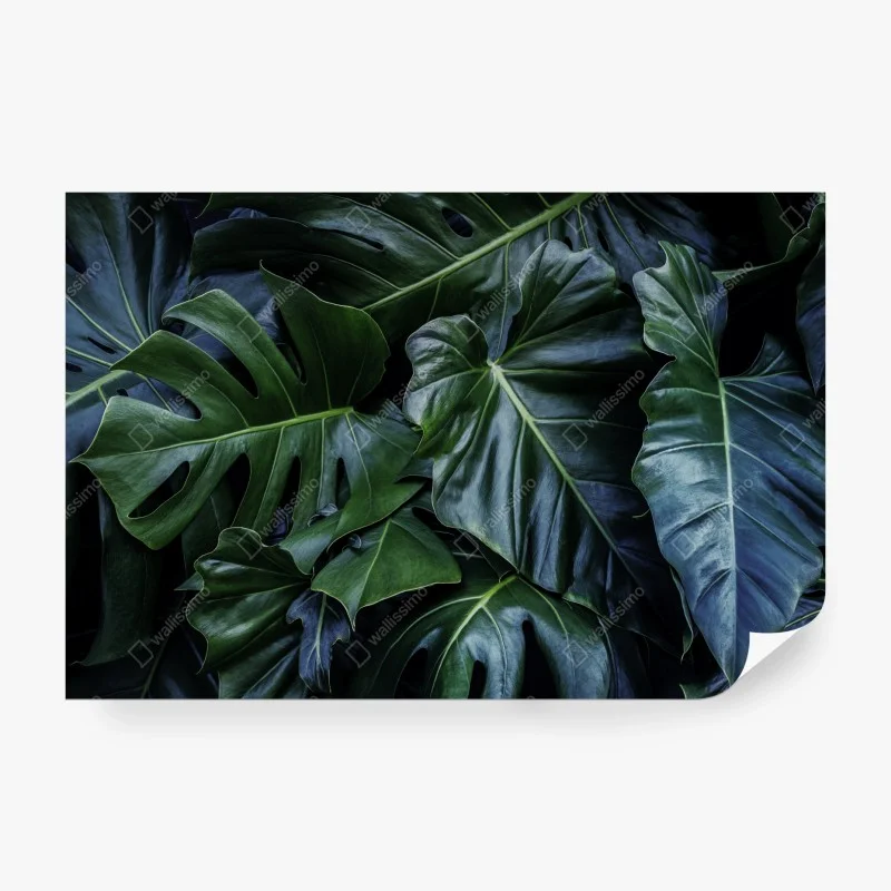 Carta da parati fogliame tropicale verde smeraldo