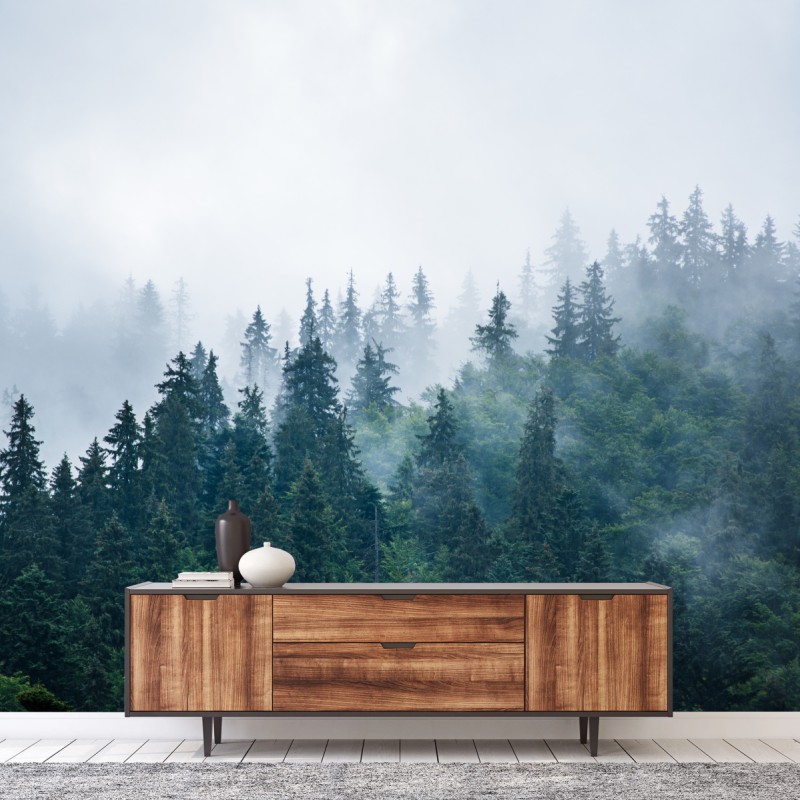 Carta da parati foresta di abeti nella nebbia