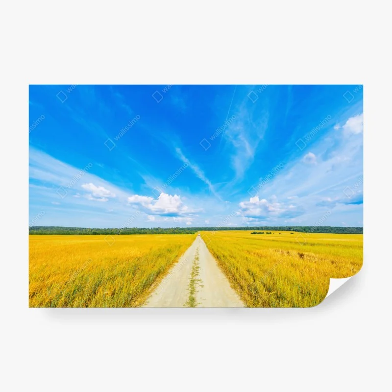 Carta da parati strada nel campo dorato sotto un cielo infinito