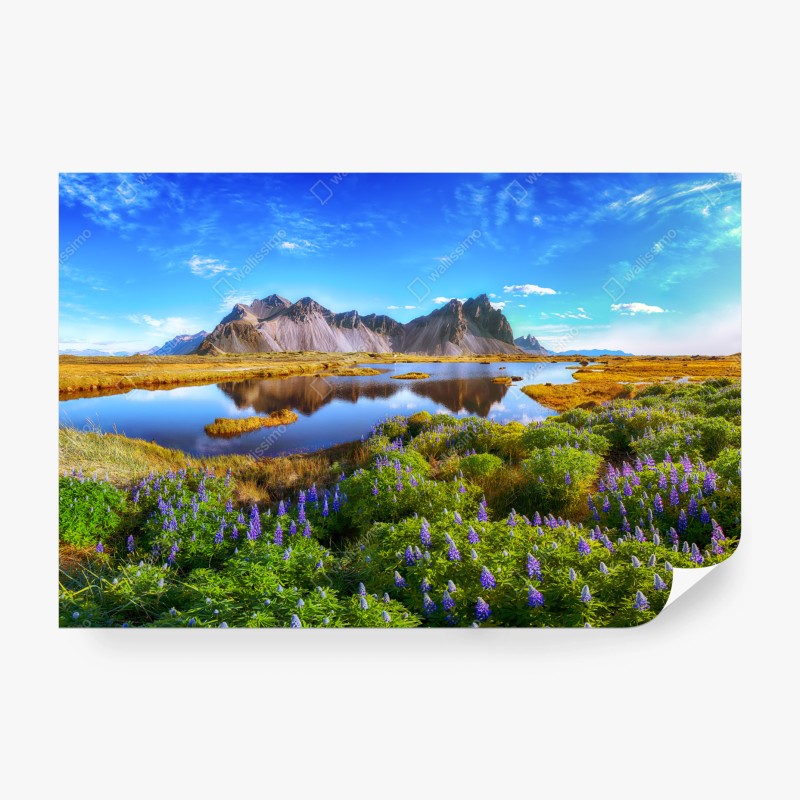 Carta da parati panorama di Vestrahorn a Stokksnes con lupine