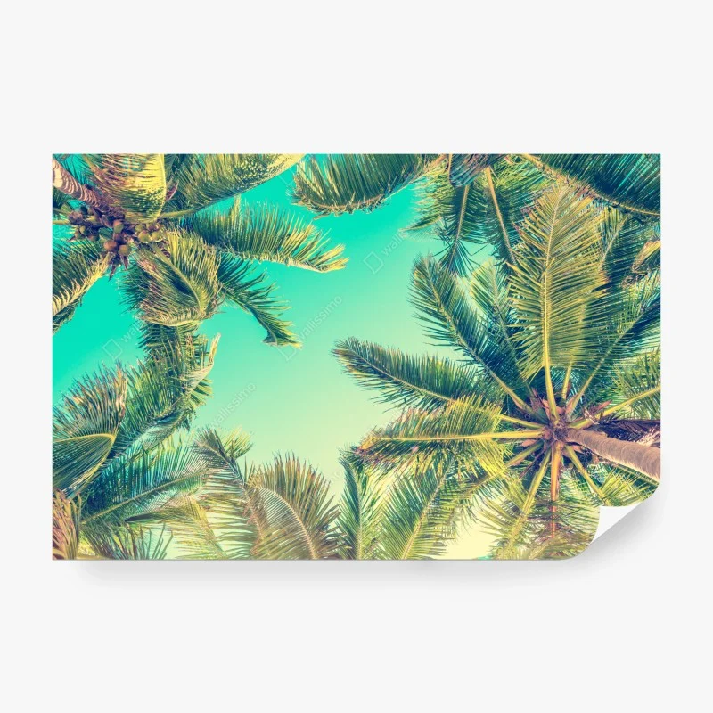 Carta da parati cielo tropicale tra le palme