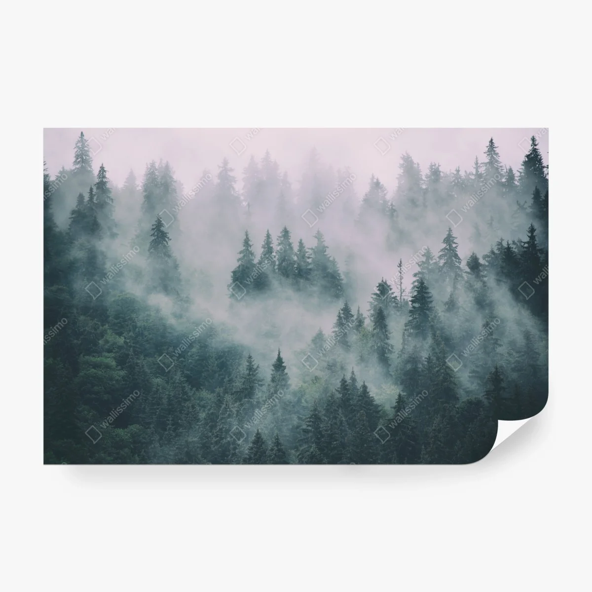 Carta da parati foresta avvolta nella nebbia • Wallissimo®