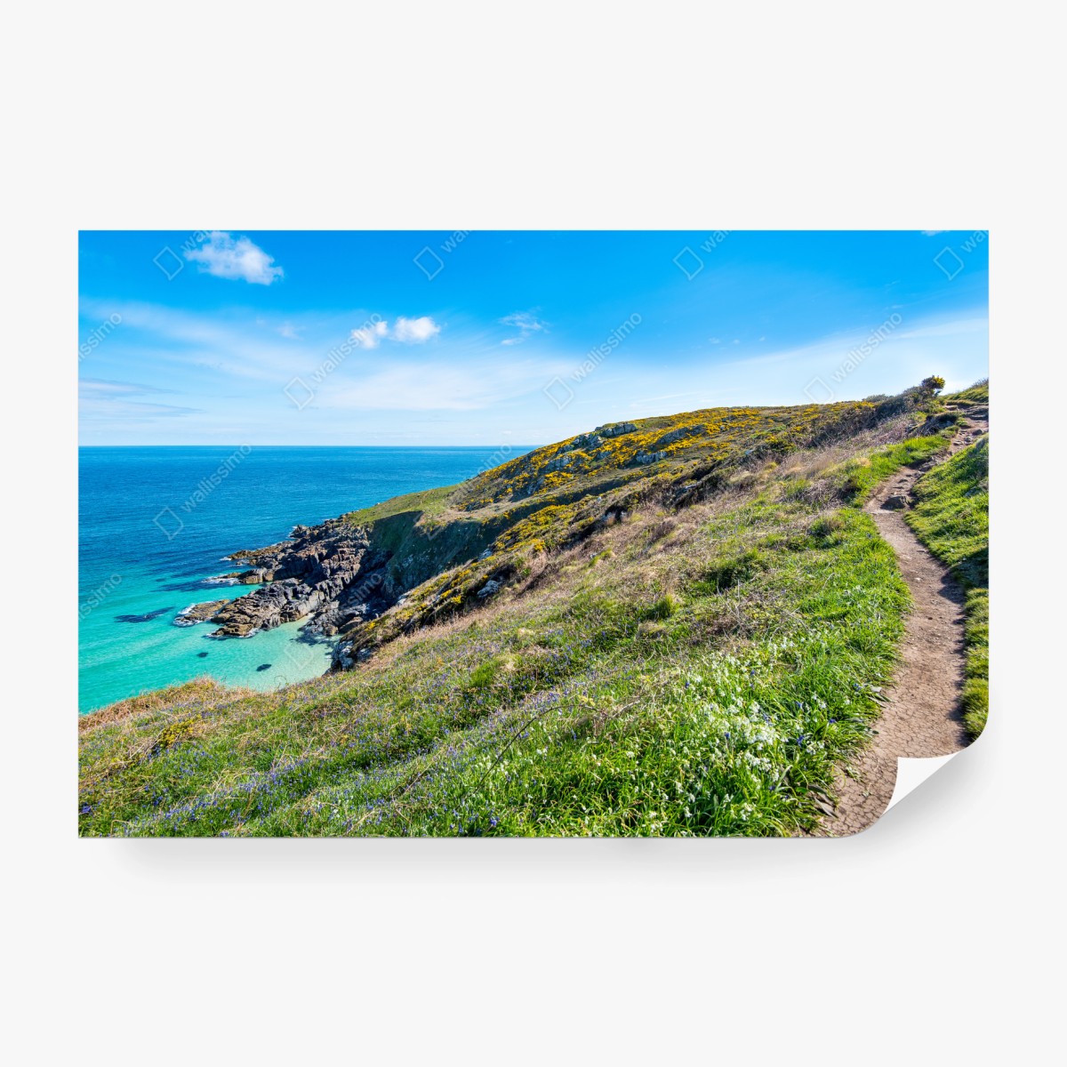 Carta da parati panorama del sentiero costiero di St Ives • Wallissimo® Carta da parati panorama del sentiero costiero di St Ives • Wallissimo®