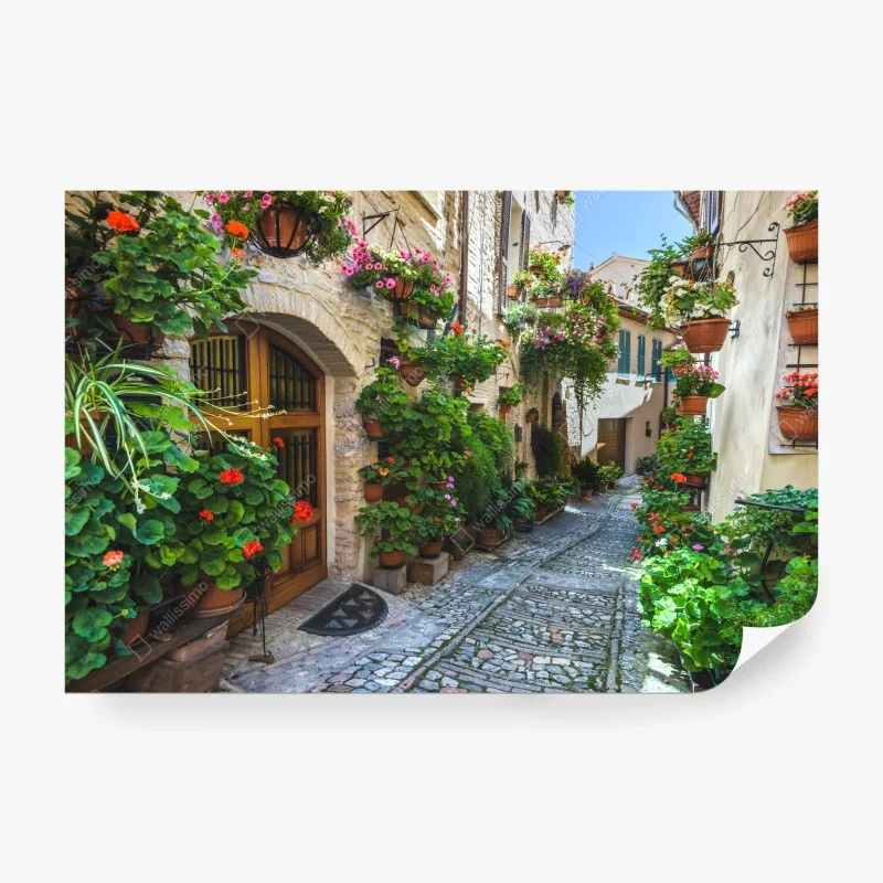 Carta da parati angolo fiorito di Spello