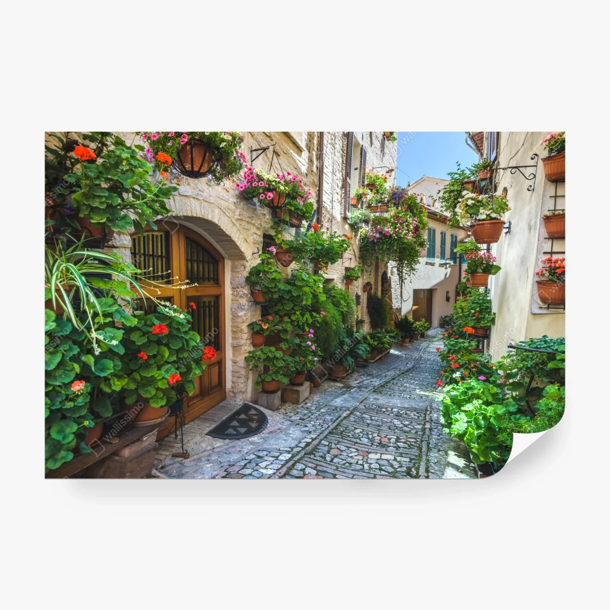 Carta da parati angolo fiorito di Spello • Wallissimo® Carta da parati angolo fiorito di Spello • Wallissimo®