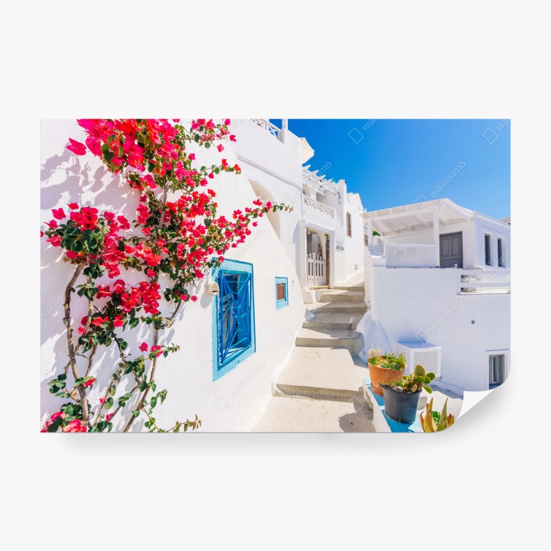 Carta da parati angolo fiorito di Santorini