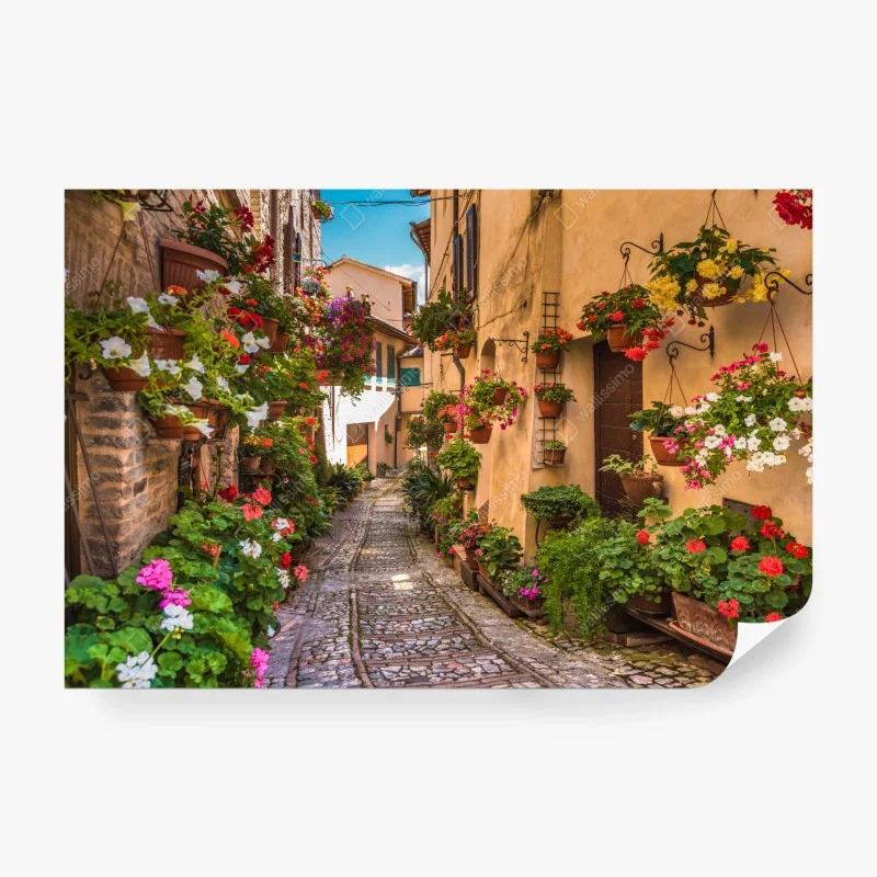 Carta da parati vicolo fiorito in Umbria
