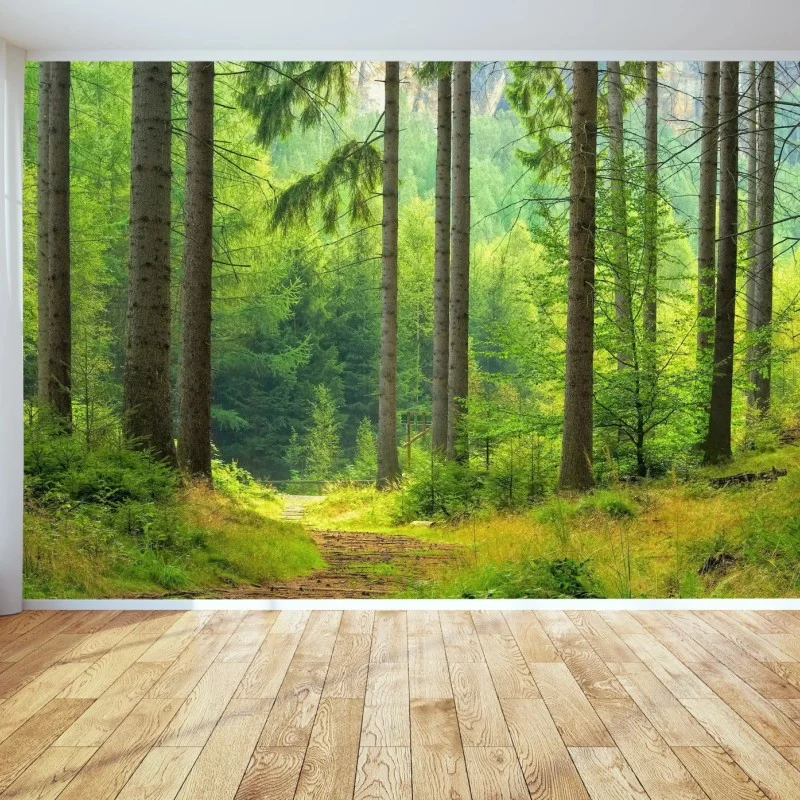 Carta da parati sentiero di luce nella foresta • Wallissimo®