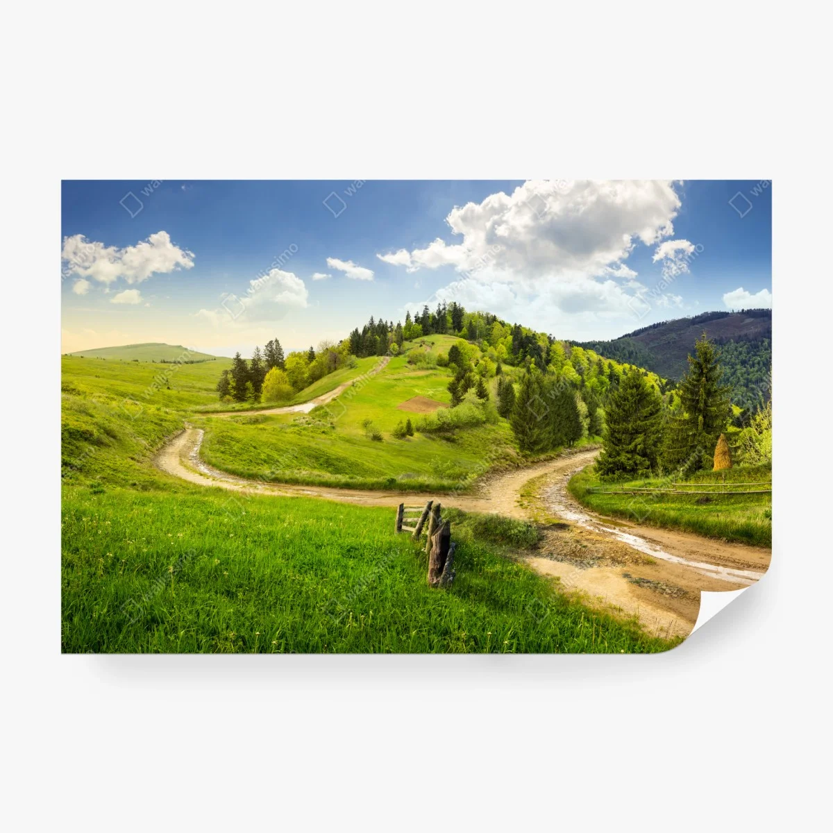 Carta da parati bivio sulle colline autunnali • Wallissimo®