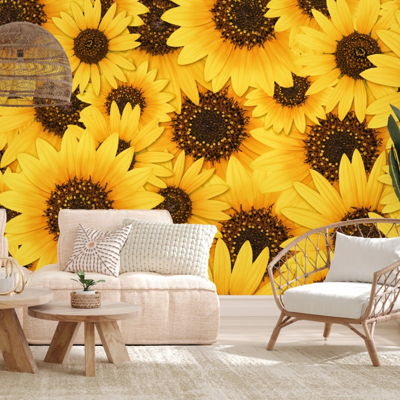 Carta da parati esplosione di girasoli