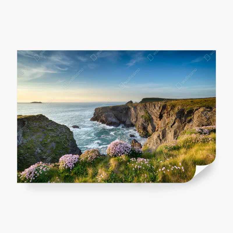 Carta da parati scogliera fiorita al tramonto