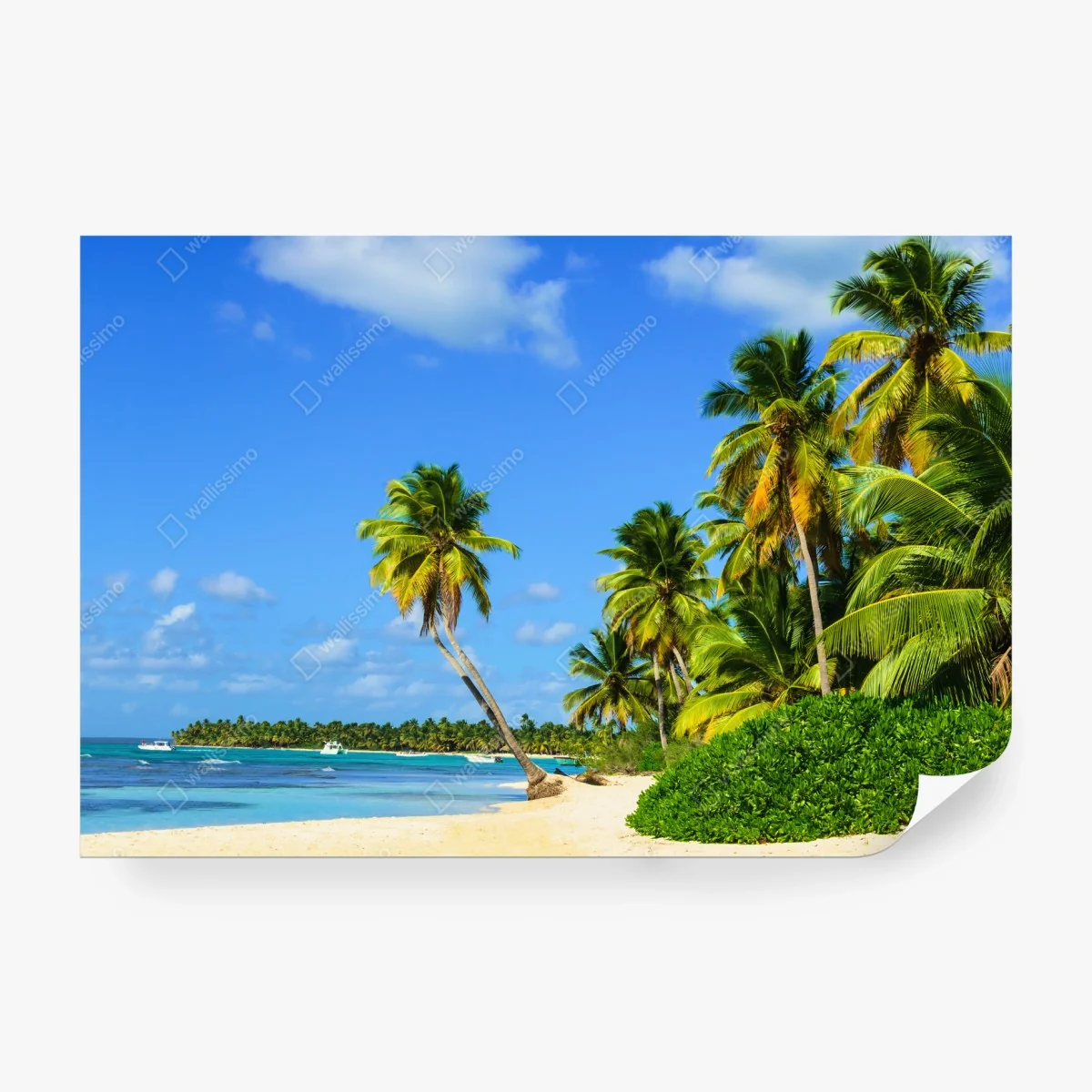 Carta da parati paradiso tropicale palme e mare • Wallissimo® Carta da parati paradiso tropicale palme e mare • Wallissimo®