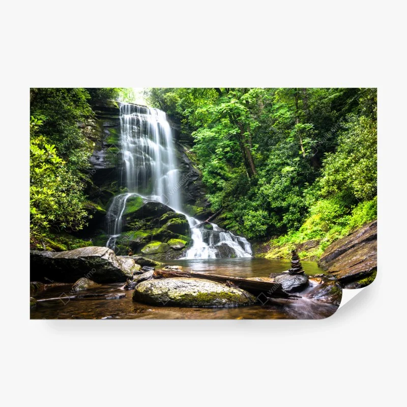 Carta da parati cascata nella foresta verde