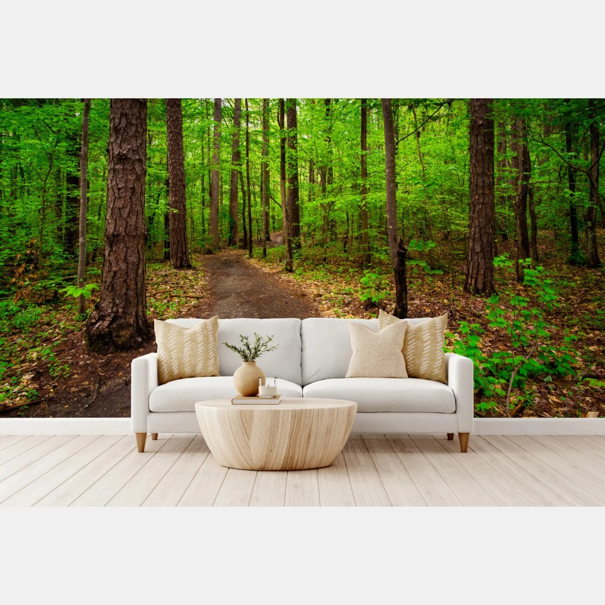 Carta da parati sentiero verde nel bosco • Wallissimo® Carta da parati sentiero verde nel bosco • Wallissimo®
