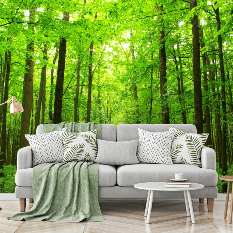 Carta da parati sentiero segreto nella foresta verde
