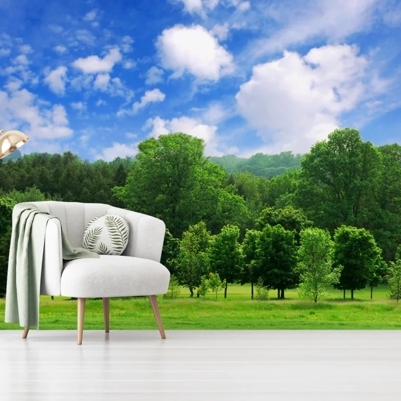 Carta da parati panorama estivo di bosco giovane e cielo azzurro