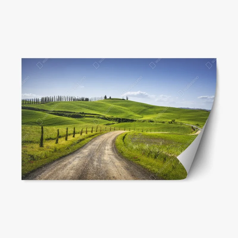 Adesivo riposizionabile strada sinuosa verso Siena tra le colline della Toscana