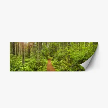 Adesivo riposizionabile sentiero incantato nella foresta verde • Wallissimo®