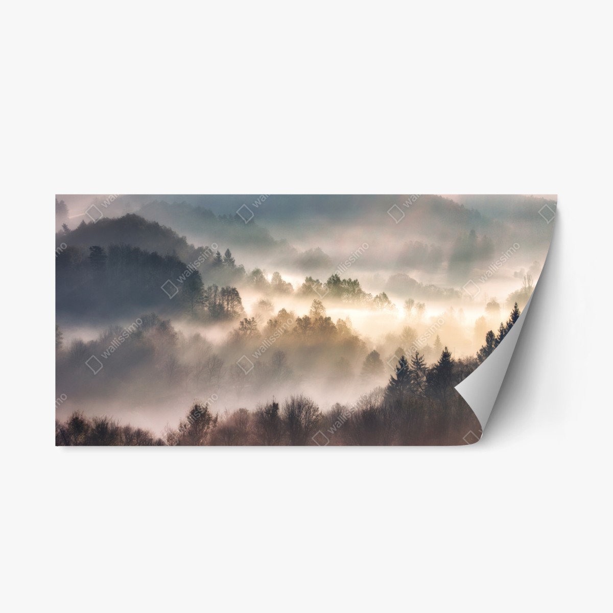 Adesivo riposizionabile nebbia d'oro sulla foresta • Wallissimo®