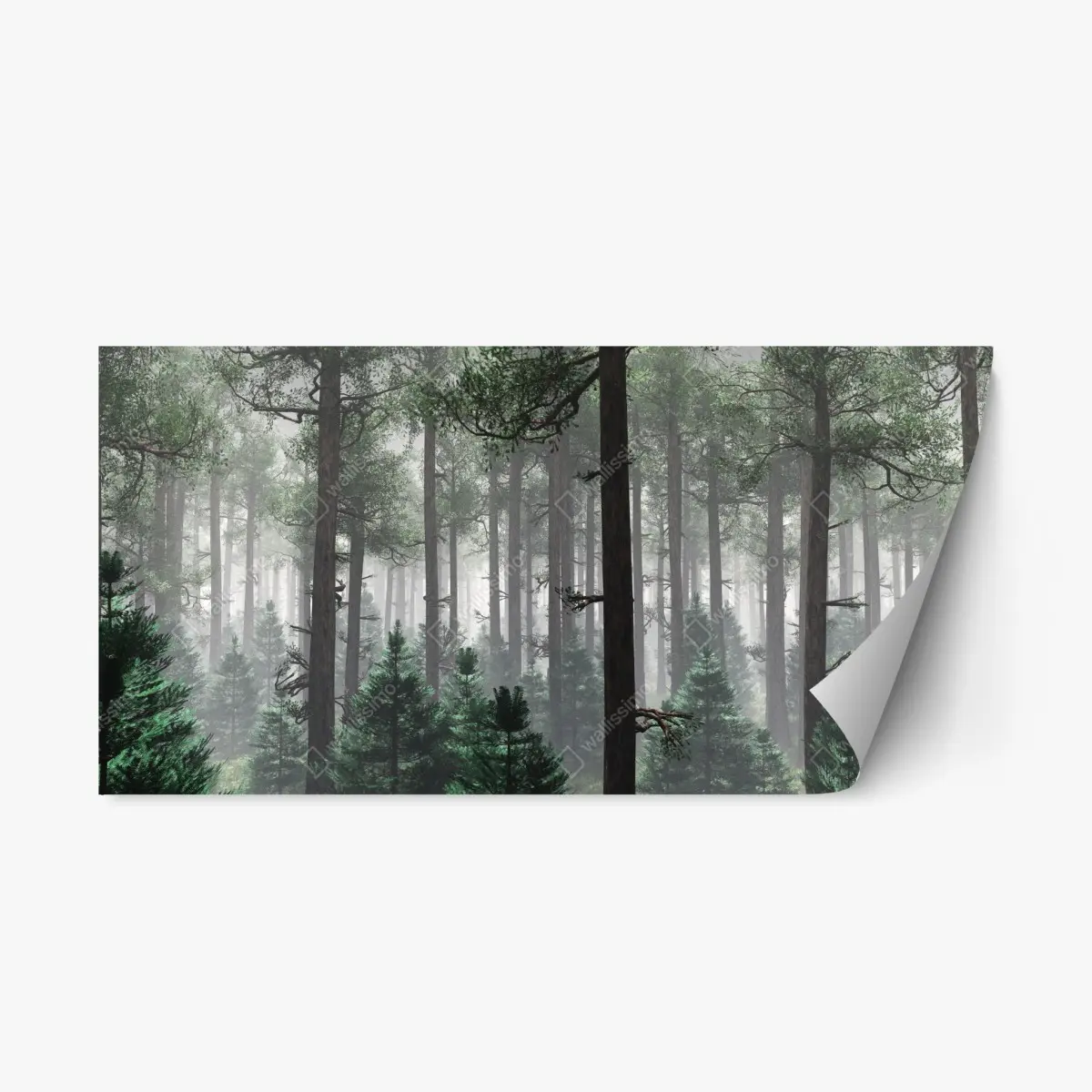 Adesivo riposizionabile foresta avvolta nella nebbia • Wallissimo®