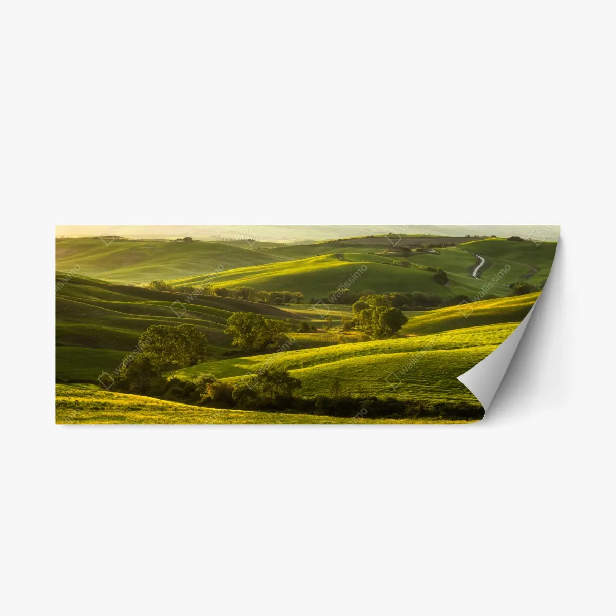 Adesivo riposizionabile colline verdi dorate • Wallissimo®