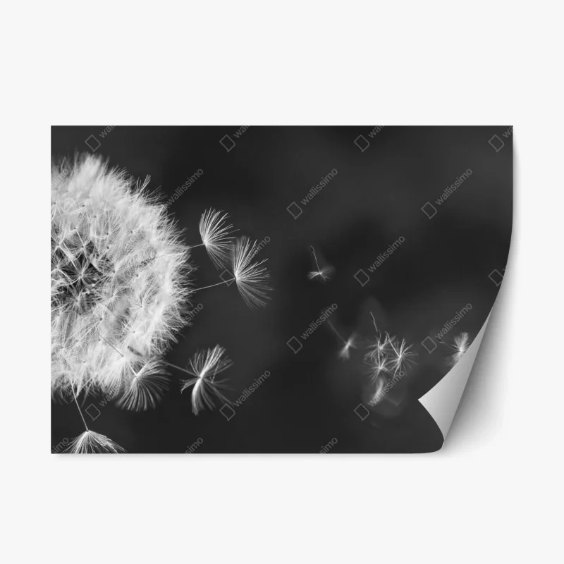 Adesivo riposizionabile soffione al vento, eleganza minimalista