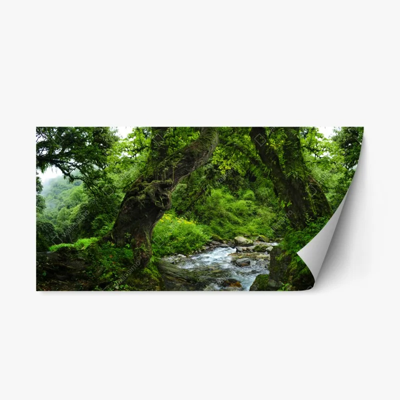 Adesivo riposizionabile bosco incantato sul ruscello